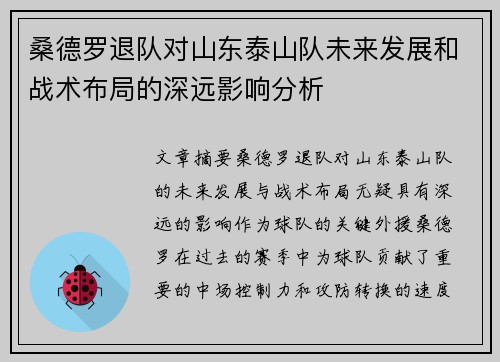 桑德罗退队对山东泰山队未来发展和战术布局的深远影响分析