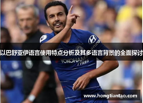 以巴舒亚伊语言使用特点分析及其多语言背景的全面探讨 以巴舒亚伊语言使用特点分析及其多语言背景的全面探讨