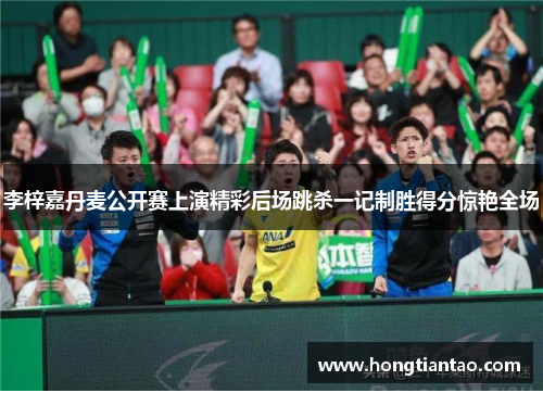 李梓嘉丹麦公开赛上演精彩后场跳杀一记制胜得分惊艳全场